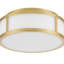 10 - Inches Integrated Led Flush Mount In Antique Brass Shade, Energy Smart For Bright And Efficient Lighting, 1225 Lumens From 24W, 3 Color Temperatures 3000K/4000K/5000K, Dimmable With Common