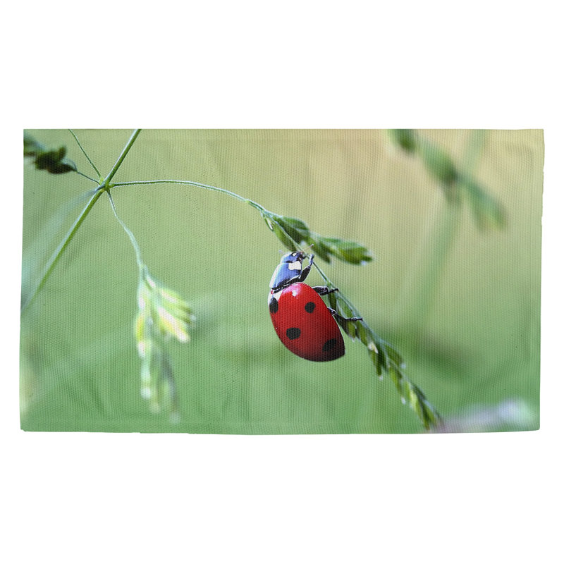 Paillasson Seltzer, Rectangulaire 7 pi 2 po x 5 pi 4,5 po