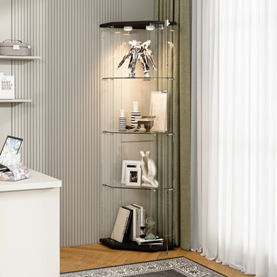 Display Cabinet