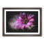 Purple Daisy - Picture Frame Graphic Art-56876061-56876064