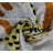 Animal Print Feather Throw Pillow