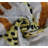 Animal Print Velvet Throw Pillow