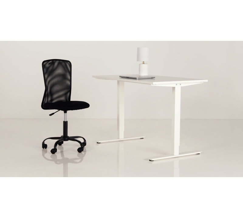 Adjustable Black Mesh Executive Office Chair with Lumbar Support