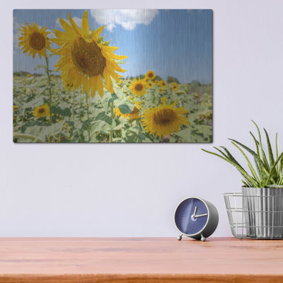 «Sunflowers I» par Richard Silver