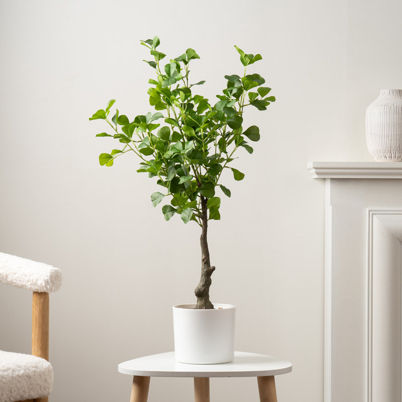 75cm Faux Heart-leaf Ficus Tree in White Pot