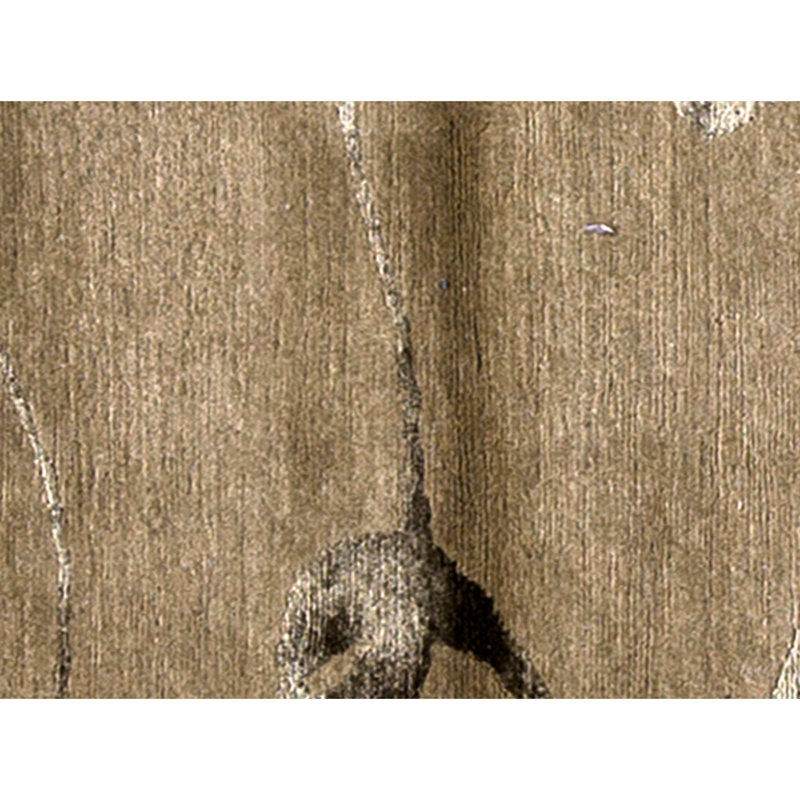Hand Knotted Area Rug in Gold