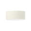 Audrionna Flush Mount-1777551657-1777573754