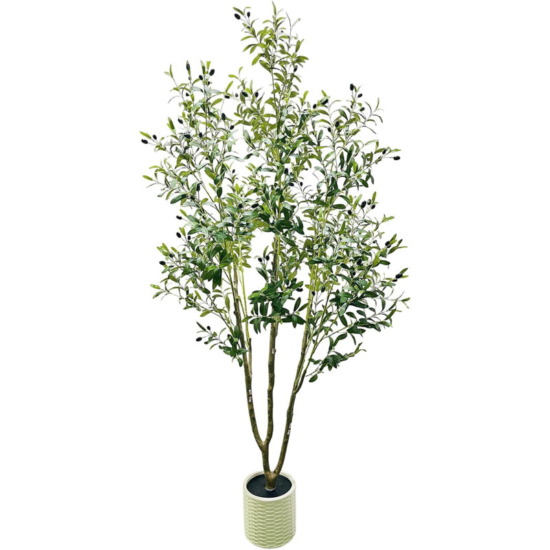 Plant, 180cm x 18cm