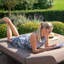 Dalery 208cm Long Reclining Double Chaise with Cushions-1843450740-1843450747