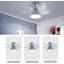 Moa 23'' Ceiling Fan with LED Lights