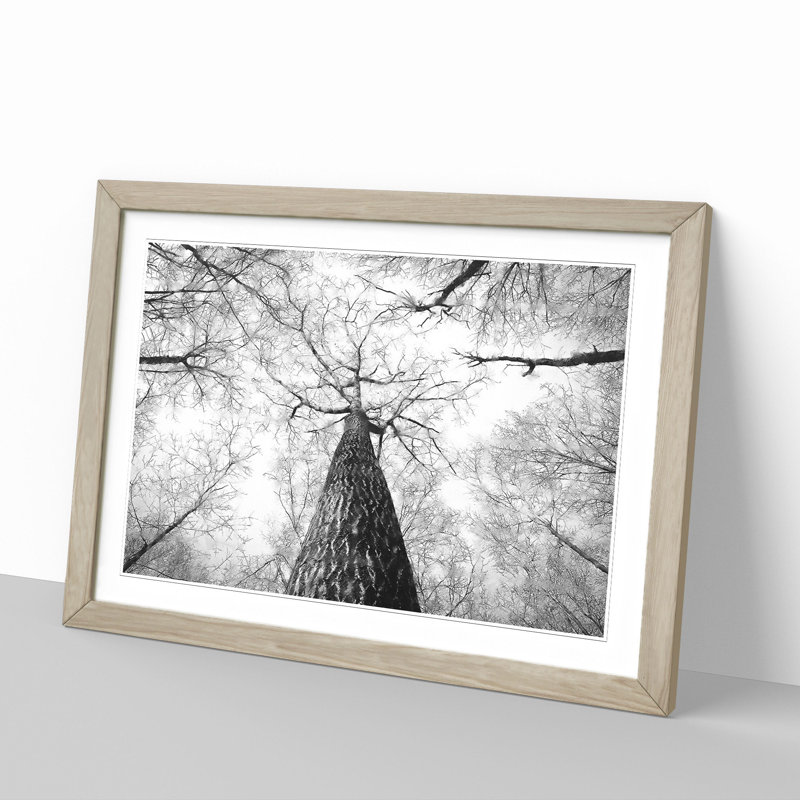 Below the Forest - Picture Frame Painting, Oak Framed, 48cm H x 65cm W x 2cm D