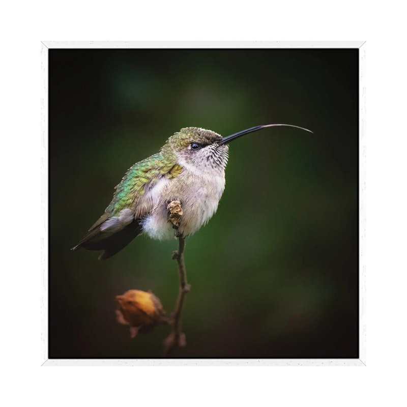 Shimmer 1 Piece Wall Art on Canvas, 45.72 cm H x 45.72 cm W, White Framed