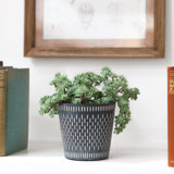 Bowlin Pot Planter