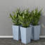 Ensemble de grandes jardinières durables en polyéthylène gris clair pour les espaces extérieurs modernes