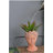 D7x11" Visage Head Bust Planter, Brown-198306193