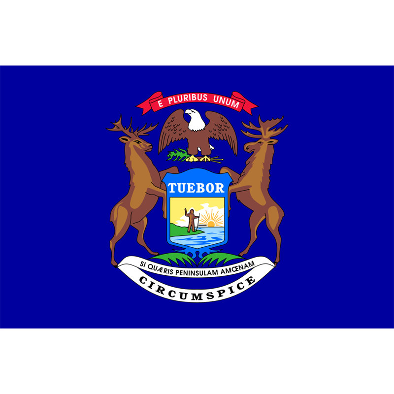 État du Michigan, H 16 po x l 24 po