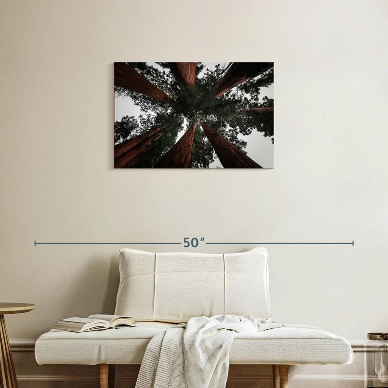 Redwoods de Harnek en Californie, H 20 po x l 30 po