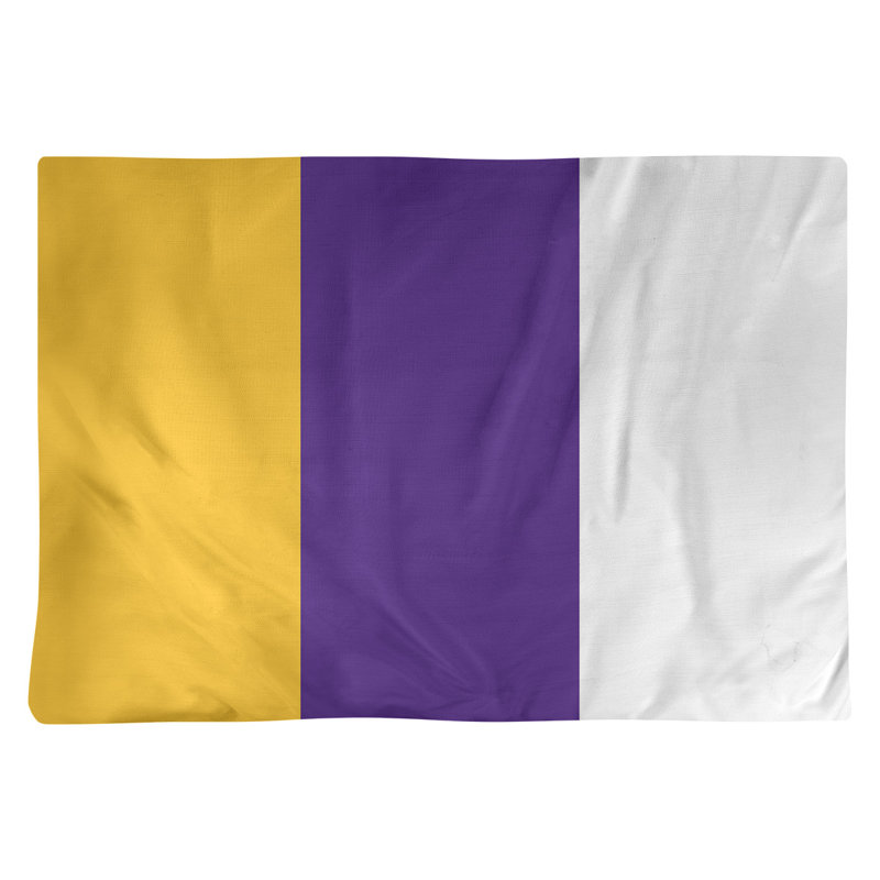 Récapitulatif 18" à rayures de football Minnesota, Mauve