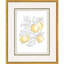 Citrus Fresh Set by Inspire Studio