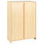 Taina 3 -Shelf Storage Cabinet