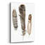 «Earthtone Feathers 1» par Alicia Ludwig, art mural en verre acrylique-536971730
