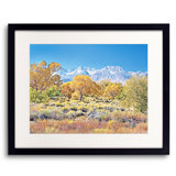 Autumn Pasture And Sierra Nevada Mts. Painting by Bruce Heinemann