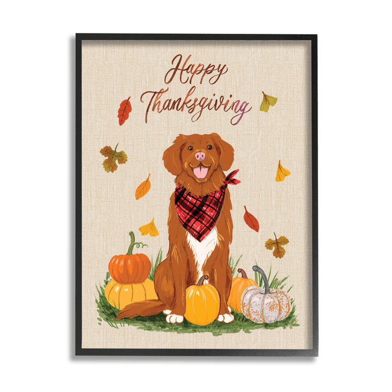 Happy Happy Thanksgiving Pumpkins at-184, Giclée encadrée noir minuit, H 14 po x l 11 po x P 1,5 po