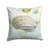 Shells Coastal Indoor/Outdoor Throw Pillow-22324671