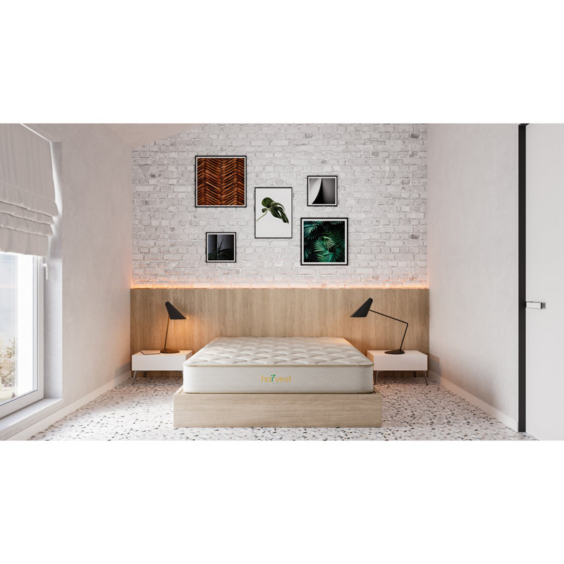 Twin Organic Latex Foam Pillowtop Mattress