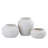 Alisme Glass Table Vase