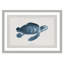 Alyiah «Atlantic Marine Museum Turtle II», reproduction d'art graphique encadrée sur papier en bleu / beige
