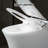 Creationstry GPF Elongated Floor Mounted Bidet Toilet (Seat Included)