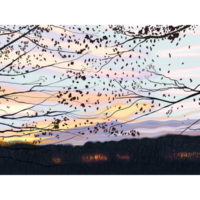 Hawk On Branch, Prospect Park Print by Evan Sklar