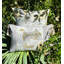 Pagoda Square Indoor/Outdoor Pillow Cover & Insert