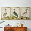 Heron Portrait I - Toile tendue avec châssis sur mesure - 3 pièces-1122106541-1122106543