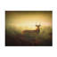 Art sur toile Robert Fabrowski-109321834