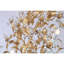Lustre Fleville-2124639576-2124639577-2124639580