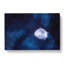 Shadow Moon In Abstract - Wrapped Canvas-55341263