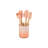 Craft Series 5-Piece Utensil Set With Crock, Peche