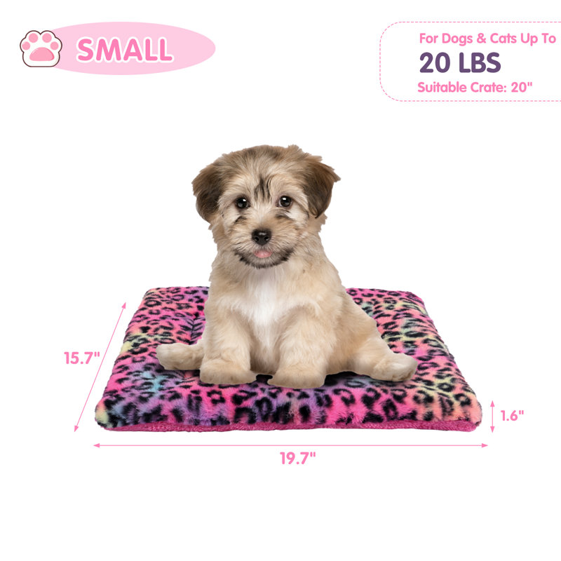 Tapis de caisse pour animal en peluche, Petit (l 19,7 po x P 15,7 po x H 1,57 po)