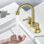 2-handle Bathroom Faucet with Drain Assembly-90958615
