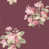 Cranberry/Pink