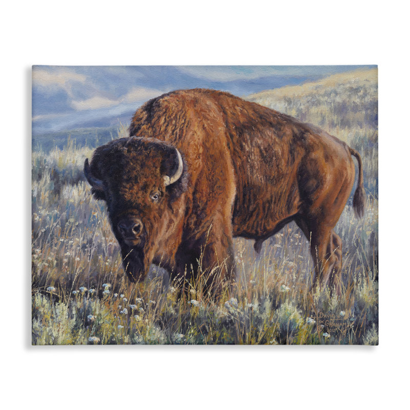 Art mural sur toile Prairie King Bison par © David Graham, H 16 po x l 20 po