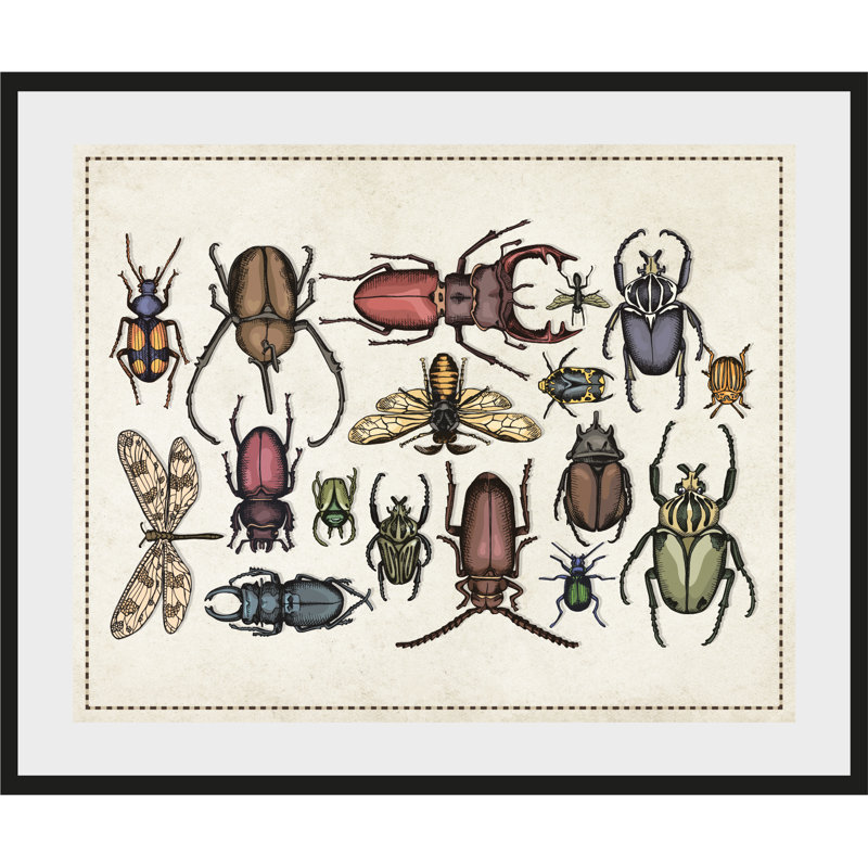 Beetle - Single Picture Frame Print, 60 cm H x 50 cm W