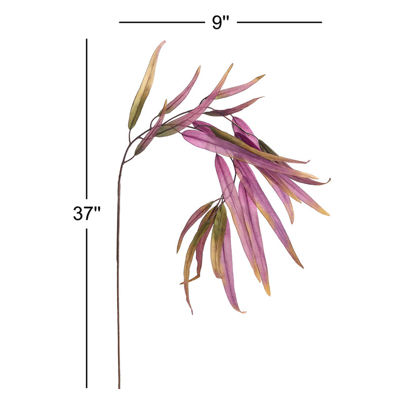 37-Inch Willow Eucalyptus Stem