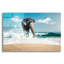 Bungalow Bungalow «Elephant» par Photoinc Studio, art mural en verre acrylique-2050222281