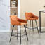 Blissfield Upholstered Counter Stool-1435600419