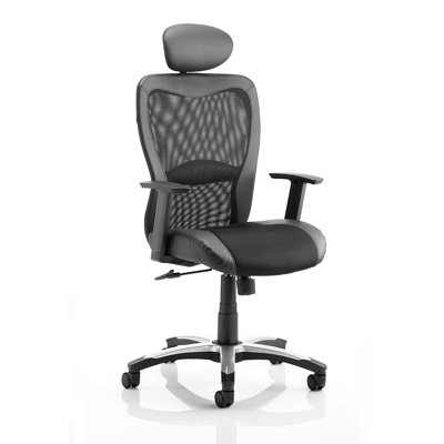 Symple Stuff Mesh Office Chair with Headrest