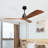 Keevagh Ceiling Fan
