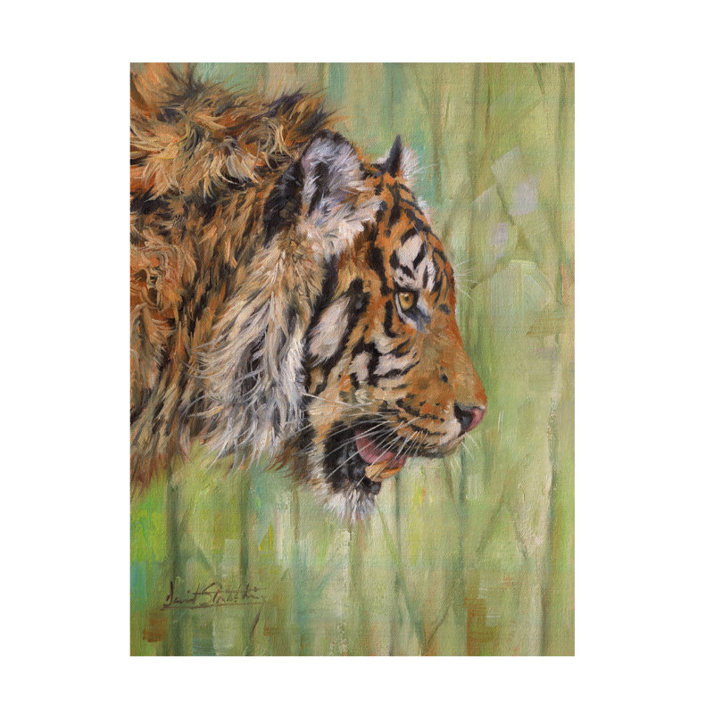 «David Stribble Amur Tiger», art sur toile, H 24 po x l 32 po